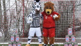 Зебра и мечка в приятелска прегръдка заради Шампионска лига (ВИДЕО)