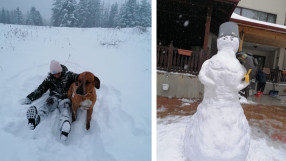 Шампиони под карантина: Миглена Селишка, кучето Рики и снежният Дан Колов (ВИДЕО)