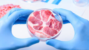 Италия става първата нация, която забранява отглежданото в лаборатория месо