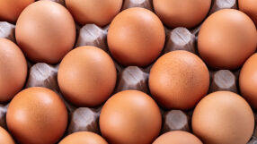 Израел разреши вноса на яйца от България