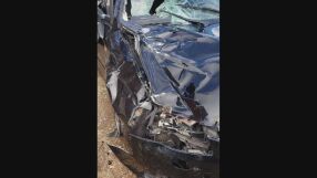 Катастрофа с бивол помля кола на Околовръстното в София: Животното се оказа ничие