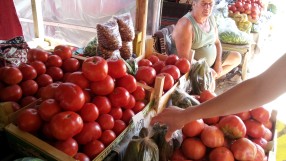 Дъждове и градушки повишиха цената на българските домати