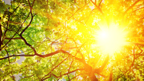 Светът отбелязва Международния ден на Слънцето със събития за соларната енергия 