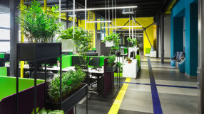 Най-добрите офис растения, които виреят на всяко работно място
