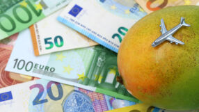 Най-скъпото манго в света струва 416 лв. за брой