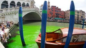 Защо водата във Венеция светна във флуоресцентно зелено?