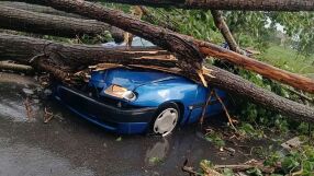 „Живея втори живот“: Дърво се стовари върху колата на мъж, той оцеля по чудо (СНИМКИ)