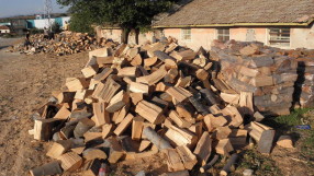 Фирми за дървесина мамят клиентите си