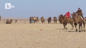 Гонки с камили и една игра на поло (ВИДЕО)