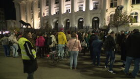 Стотици на протест в София срещу домашното насилие
