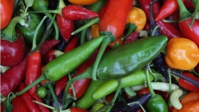 90% от плодовете и зеленчуците на пазара в България са вносни