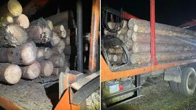 Задържаха камион с незаконна дървесина в Благоевград (СНИМКИ)