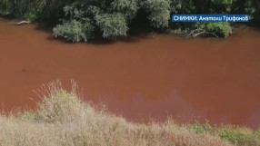 Замърсяване на Осъм: Водите на реката станаха червени