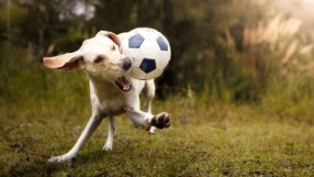 Куче вкара ефектен гол в Чили (ВИДЕО)