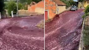 600 000 галона червено вино потекоха през малък град след разлив (ВИДЕО)