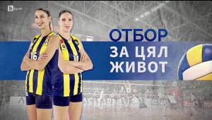 bTV Репортерите - 08.03.2025 г 	