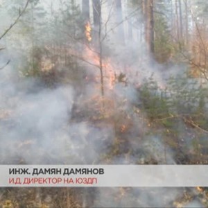 Снимка: 500 декара гора са изпепелени