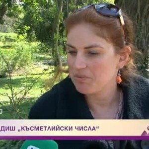 Снимка: Да наследиш "Късметлийски числа"