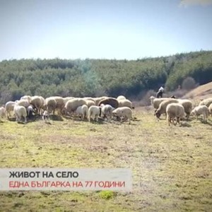Снимка: Живот на село