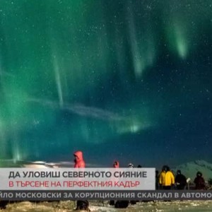Снимка: В търсене на перфектния кадър