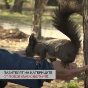 Снимка: Пазителят на катериците