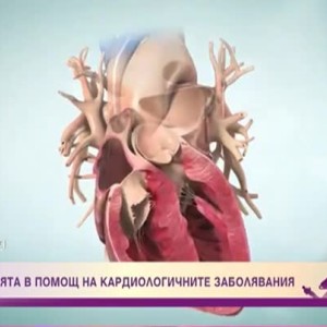 Снимка: Могат ли природните средства да повлияят кардиологичните заболявания?