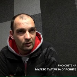Снимка: Проект: Лесни пари (1 част)