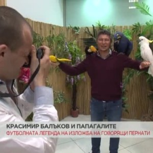 Снимка: Красимир Балъков в разговор с... папагали