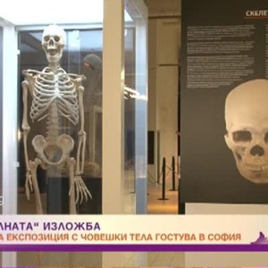 Снимка: Скандалната експозиция с човешки тела може да се разгледа в София