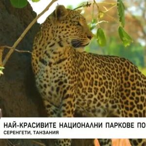 Снимка: Кои са най-красивите национални паркове в света?