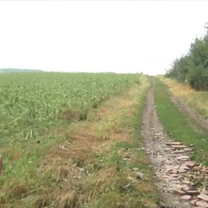 Снимка: Борба с градушките: Самолети ще пръскат срещу градоносни облаци