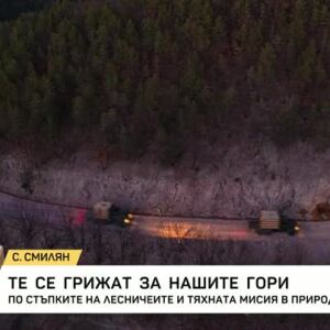 Снимка: Грижата за нашите гори
