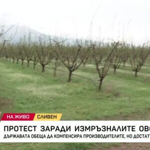 Снимка: Рязкото застудяване унищожи плодни дръвчета