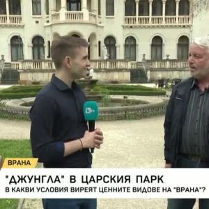 Снимка: "Джунгла" в царския парк