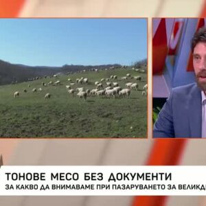 Снимка: Тонове месо без документи