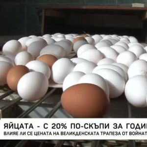 Снимка: Яйцата - с 20% по-скъпи за година