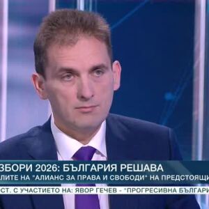 Снимка: Избори 2026: България решава: Целите на "Алианс за права и свободи" на предстоящите...