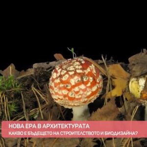 Снимка: Какво представлява биодизайнът?