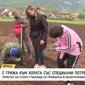 Снимка: Зеленчукова градина с кауза