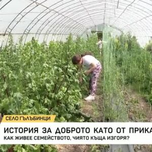 Снимка: Как живее семейството от Гълъбинци, останало без дом?