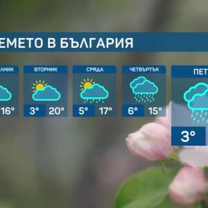 Снимка: Жълт код за силен вятър в няколко области