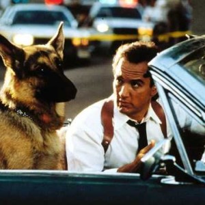 Снимка: K-9: Частен детектив