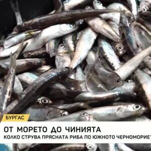 Снимка: От морето до чинията