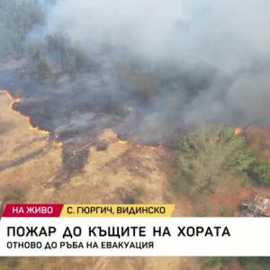 Снимка: Пожар до къщите на хората във Видинско