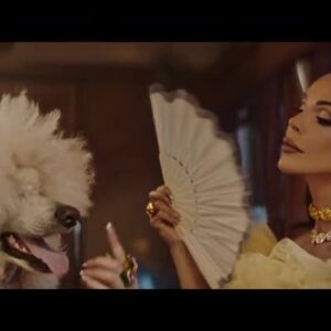 Снимка: Гледайте "България търси талант" - от септември по bTV!