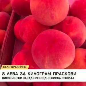 Снимка: 8 лева за килограм праскови