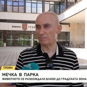 Снимка: Мечка в парка