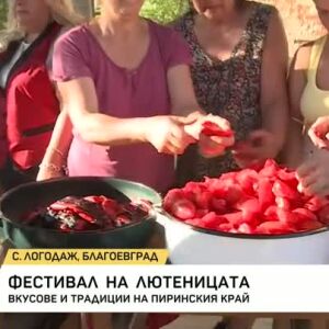 Снимка: Фестивал на лютеницата