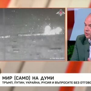 Снимка: Мир (само) на думи