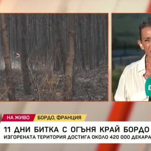 Снимка: 11 дни битка с огъня край Бордо